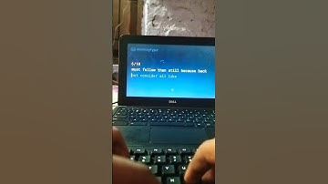 Monkey type 50 wpm 98 accuracy #typing #shorts