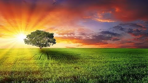 سورة الشعراء (نصف الحزب 37) ، القارئ عبدالله البعيجان
