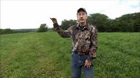 Rut Report: Dealing with Lockdown