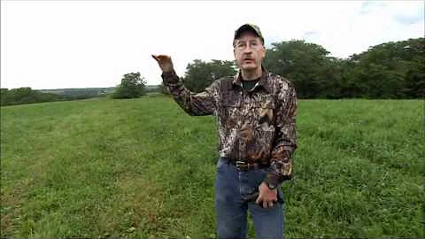 Rut Report: Dealing with Lockdown