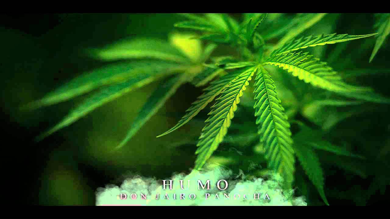 Don Jairo Panocha - Adelanto Humo
