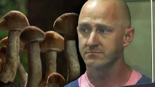 Pilot Allegedly Took Psychedelic Mushrooms Prior to Flight