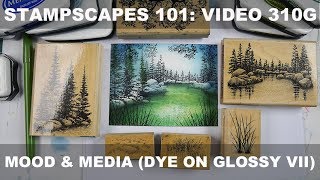 Stampscapes 101: Video 310G. Mood and Media (dye on glossy VII) Stampscapes 101: Video 310G. Mood and Media (dye on glossy VII)