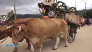 VALMIÑORTV - Procesión de San Miguel en Peitieiros