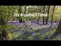 Gopher Wood, West Wood & the Wansdyke | Wiltshire