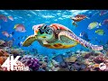 Aquarium 4K VIDEO (ULTRA HD)🐠 Relaxing Oceanscapes - Sleep Meditation 4K UHD Screensaver