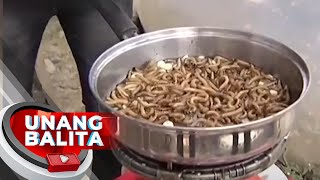 Superworms, ginawang chicharon o chichaworm | UB