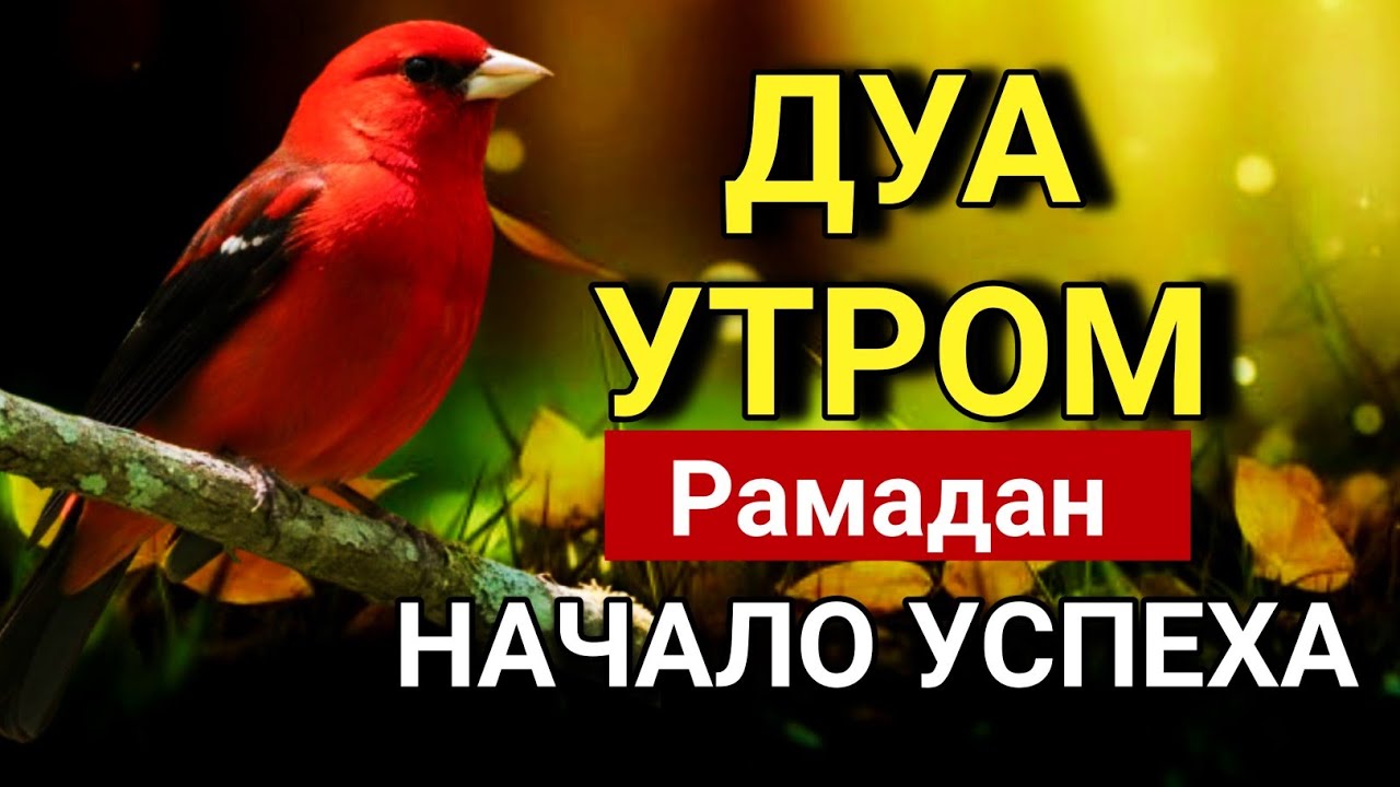 🔑 ДУА УТРОМ Рамадан— НАЧНИ ДЕНЬ САЛЛАХОМ 🤲💖💯