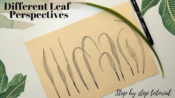How to draw different leaf perspectives. How to draw leaves. Leaf drawing. Step by step tutorial.