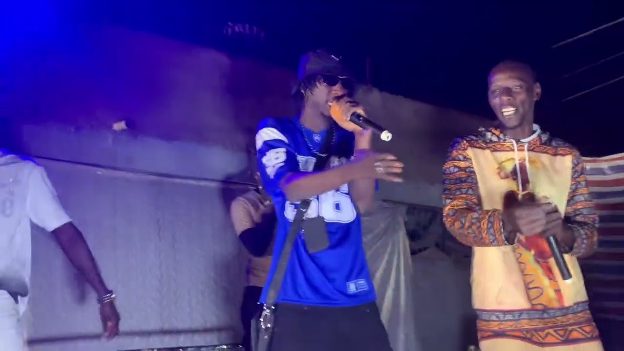 Concert de ZeZe à Moudery 