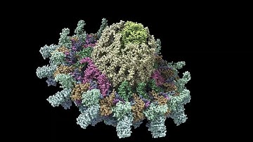 T4SS IcmX Plug Secretion 10 pm/ps Simulation Angled View