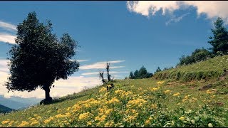 Forest Certification For Ecosystem Services Forest Carbon Nepali Version