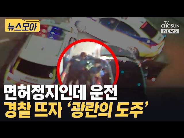 순찰차 피해 16km 도주극…결국 면허까지 취소 [티조 Clip]