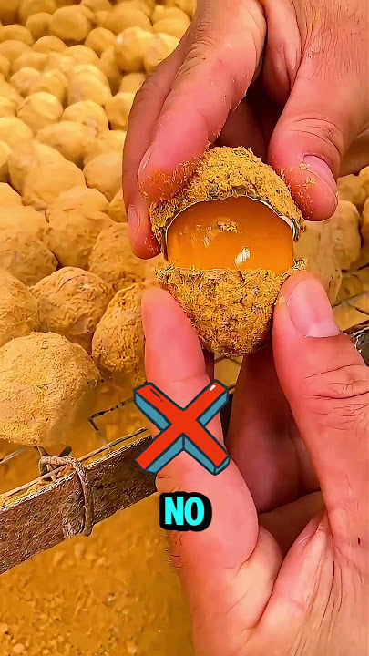 Did You See the Fake Eggs in China!? 😱🥚