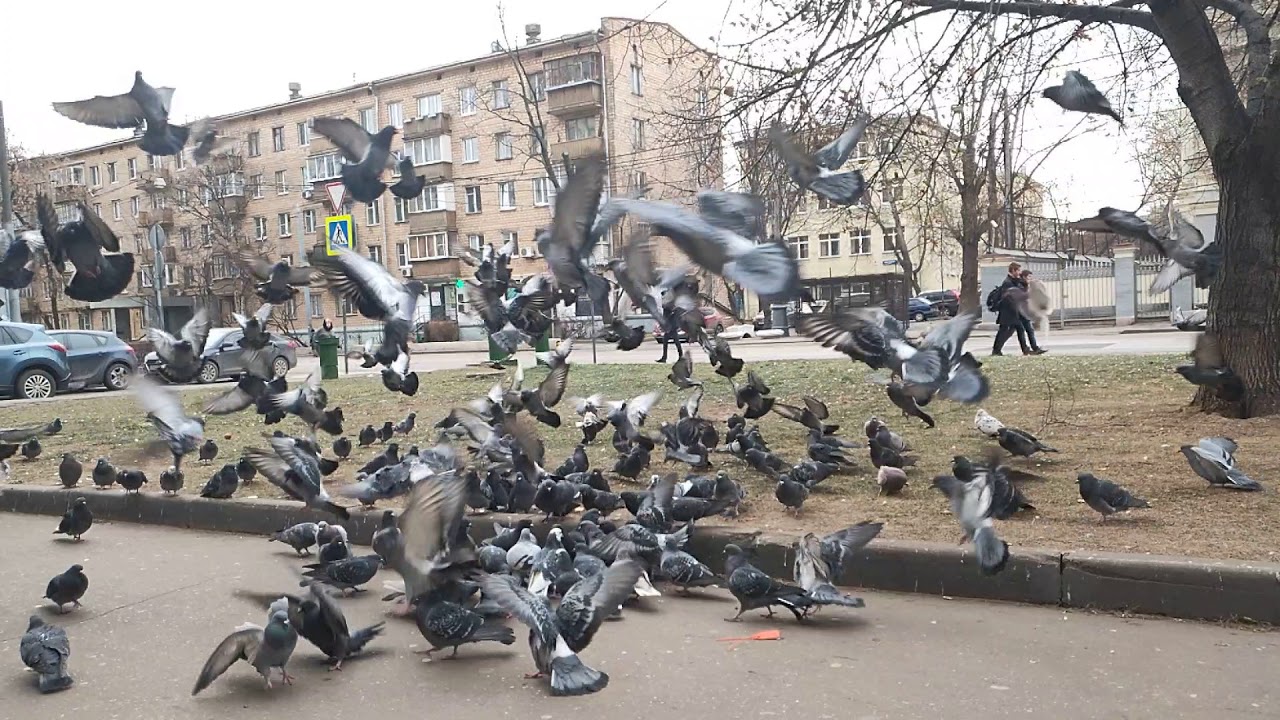 OPPO RX17 Pro test video