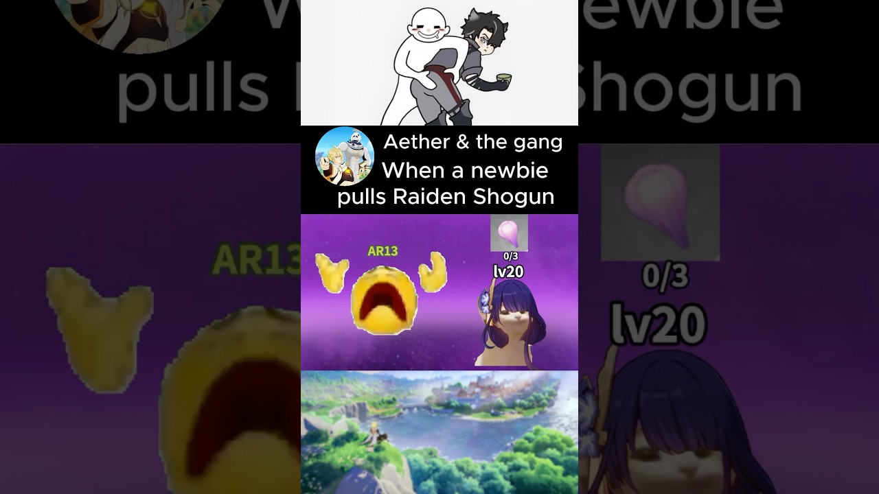 When a newbie gets Raiden Shogun 😂😂 