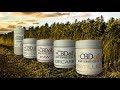 CBD Lecture Series - Uncut: Peggys Natural Foods presents Stuart Tomc of CV Sciences and PLUS CBD