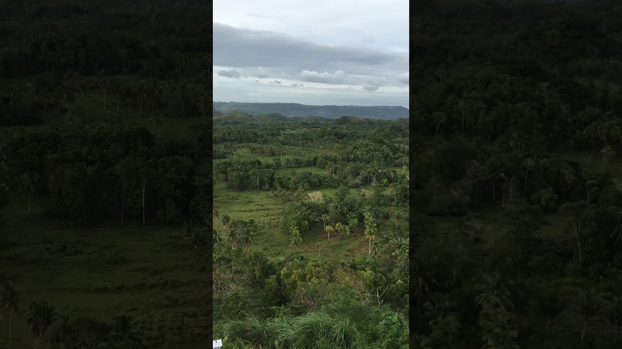 The best tourist spot of Bohol Island The Chocolate Hills πΆππ