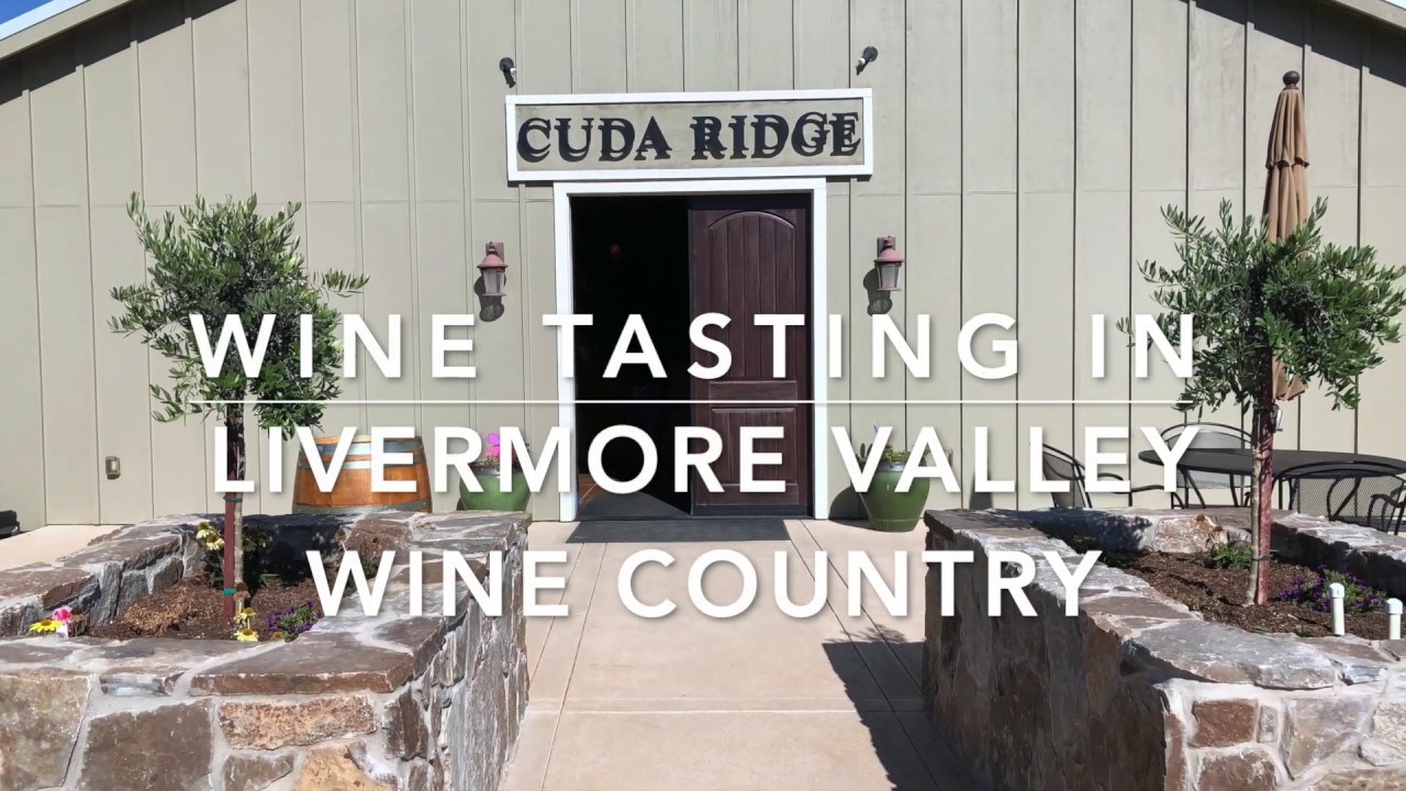 Wine Tasting in LIVERMORE  🍇