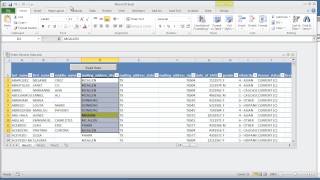 Celebrity Highlight Item with Criteria without Conditional Formatting - Microsoft Excel 2010 VBA Programming for Beginners (5 of 6) Net Worth