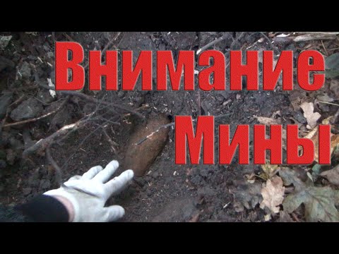 Коп.Поиск золота.Бомба и находки рандомно