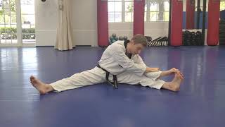 Online Course: Kids Advanced TKD: Lesson #22