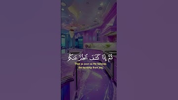 #تلاوة_مميزة #اكسبلور #love #duet