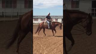 Moonlite Graham First time changing leads with one hand and loose rein!!!