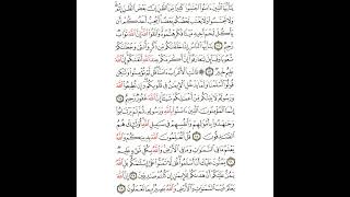 Surah Al Hujurat | By Foad Al Khamiri | Beauty of Islam