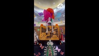 Here's how ABC7 is celebrating Día de los Muertos!