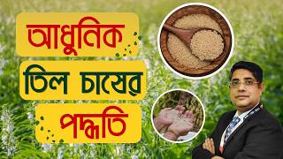 আধুনিক তিল চাষের পদ্ধতি || #agriculture #fpcregistration #fpc #fpo