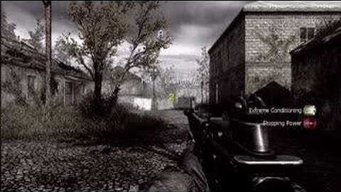 Call of Duty 4 - Authenticity and Leveling System Interview