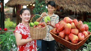 Rose Apple season is coming: Pick Rose apple, mango, papaya and make yummy tiny shrimp past sauce