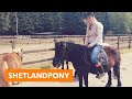 Shetlandpony | PaardenpraatTV