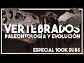🦖 TODOS los grupos de VERTEBRADOS, actuales y EXTINTOS 🦈 - Vídeo especial 100k suscriptores
