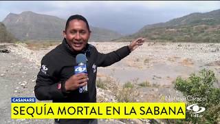 SEQUÍA MORTAL EN CASANARE
