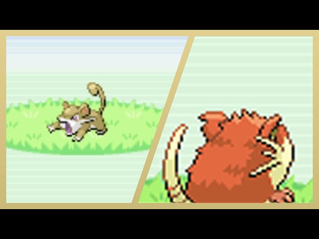 My shiny Rattata from Pokemon FireRed by Advanceshipper2021 on