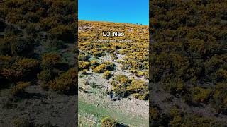 DJI Neo 20 Metres Helix QuickShot #dji #djineo #quickshot #helix