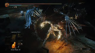Ah, yes. My favorite Hack & Slash: Dark Souls 3🍷🗿 (No Mods)