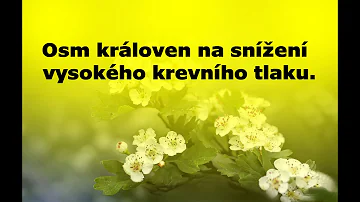 Co vám pomohou snížit vysoký tlak?
