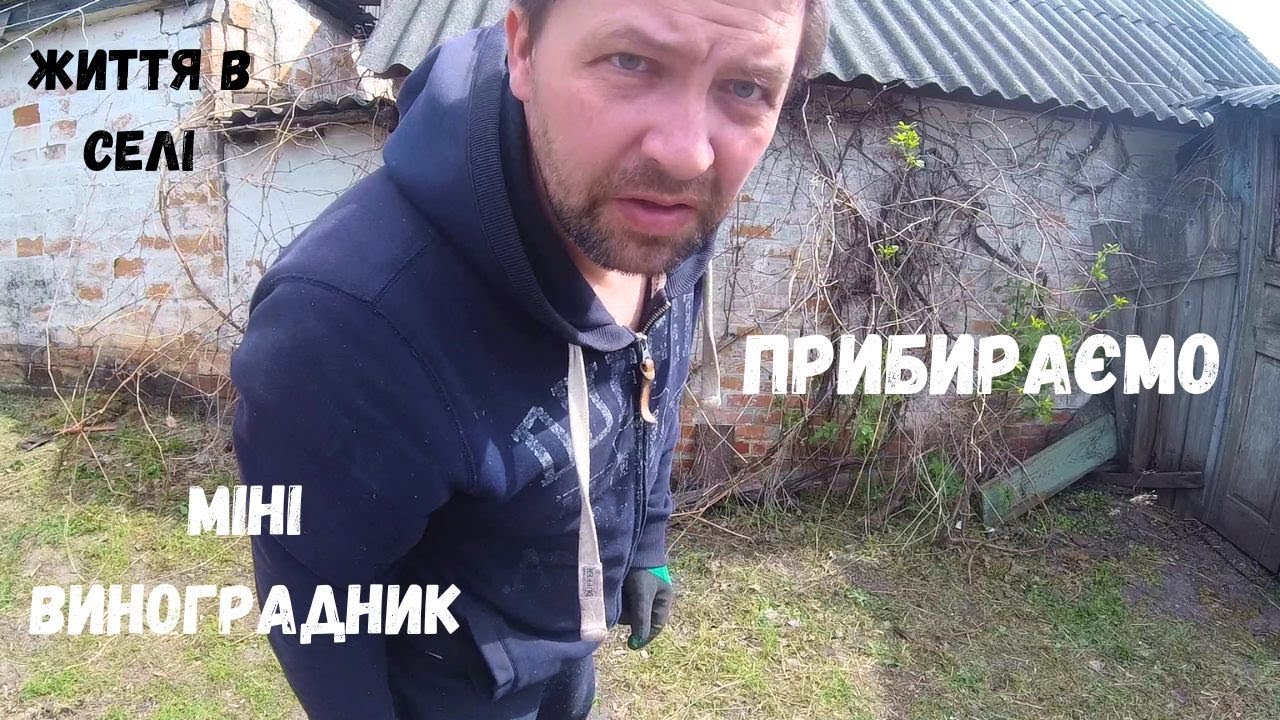 Хата в селі Що робити з виноградом? Прибираємо у дворі