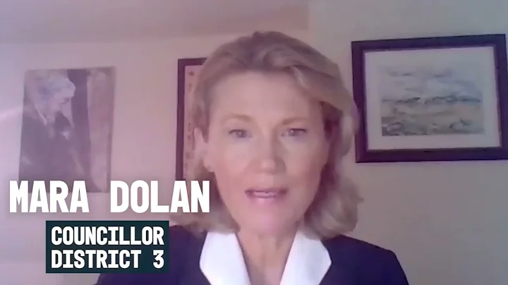 Mara Dolan, Public Defender for Governor's Council