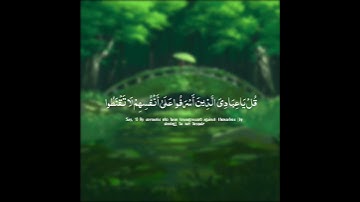 سورة الزمر الآيتين ٥٢ و ٥٣ | تلاوة القارئ وديع اليمني