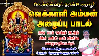 வெக்காளி அம்மன் அழைப்பு பாடல் ஒலிக்குமிடத்தில் ஏவல் விலகி ஓடும் | pambai senthil poosari pattu