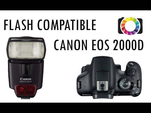 affiche une nouvelle réduction flash sur l'appareil photo reflex  Canon EOS 2000D