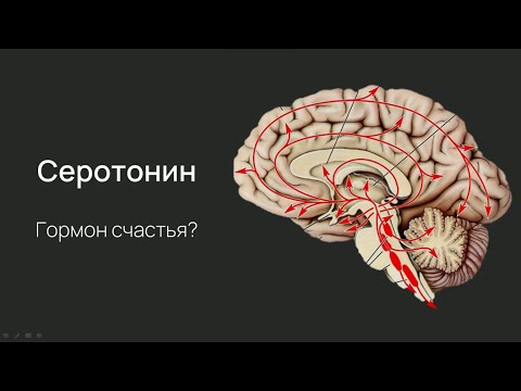 Видео: Нейробиология поведения. Серотонин