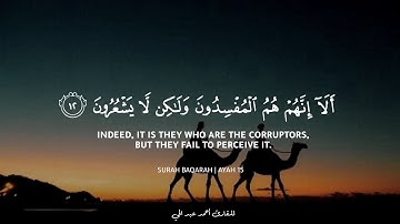 سورة البقرة | تلاوة تخشع لها القلوب بصوت القارئ احمد عبد الحى