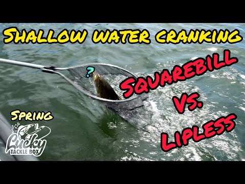 LUCKY Tackle Tips - YouTube LUCKY Tackle Tips - YouTube