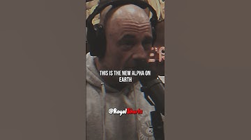 Artificial Intelligence Self UPGRADING THEORY | JRE #shorts #joerogan #jreclips #podcast #chatgpt