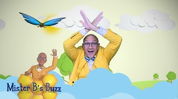 Flitter Flutter Butterfly / Mister B